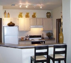 Allegro Palm Image 8