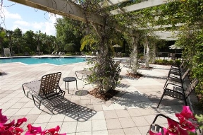 Cypress Grand Image 16