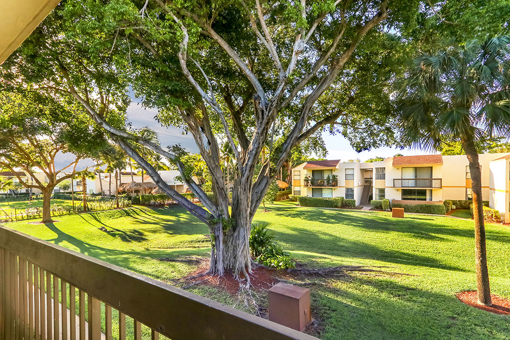 Jacaranda Club Apartments Image 11