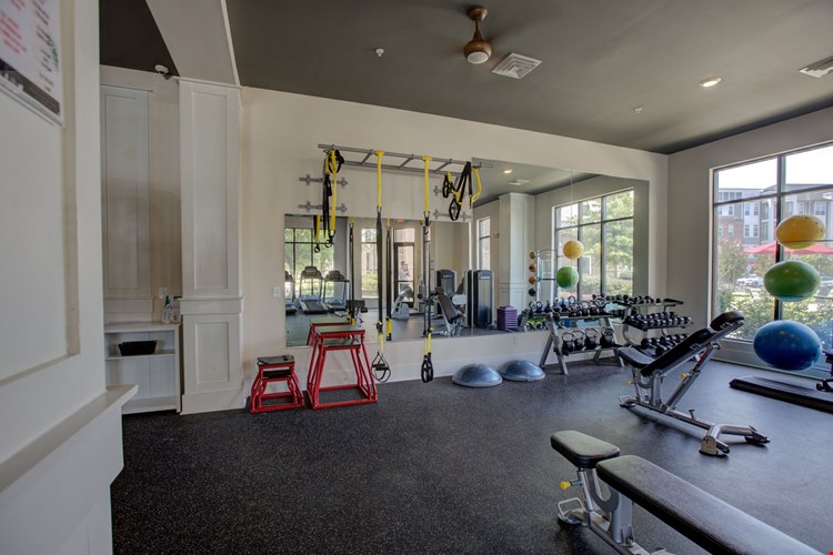 Holly Crest Image 14