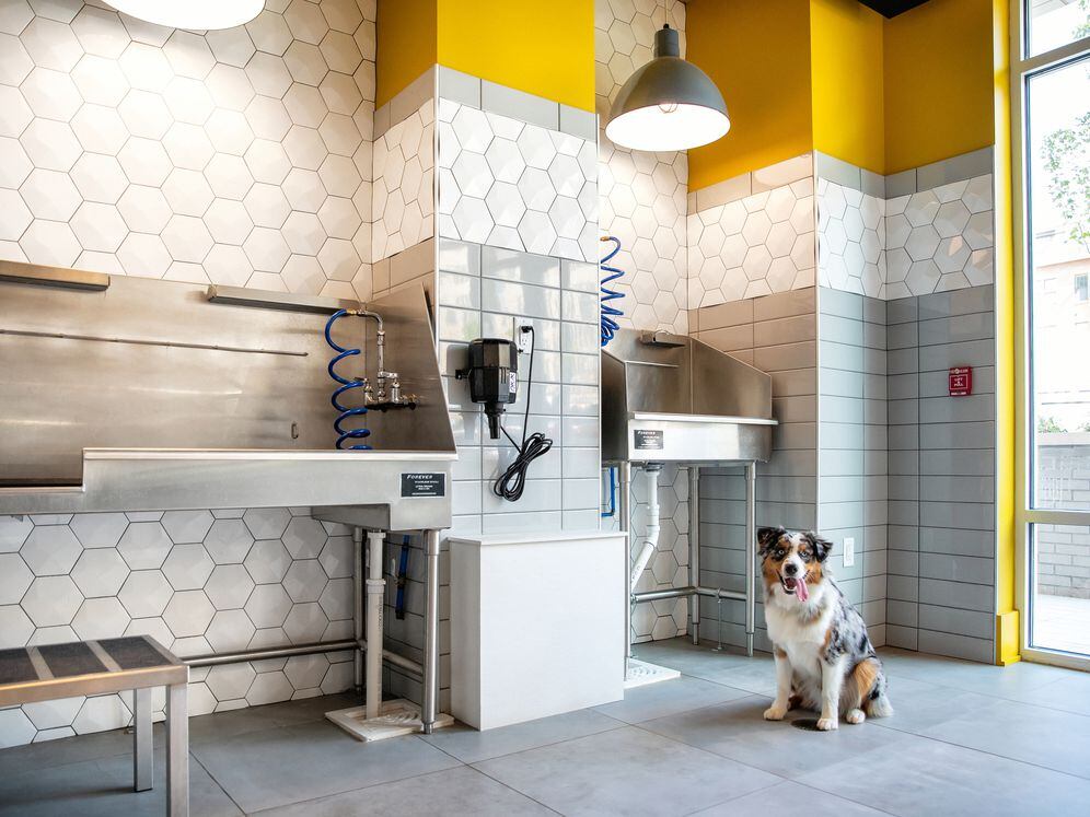 South Building WAG Pet Spa