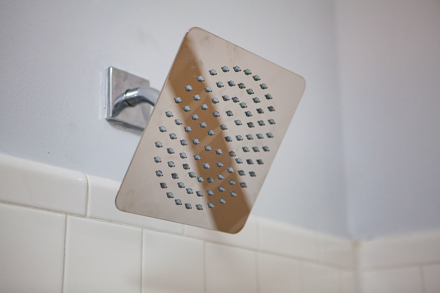 Cortland Duluth Image 9