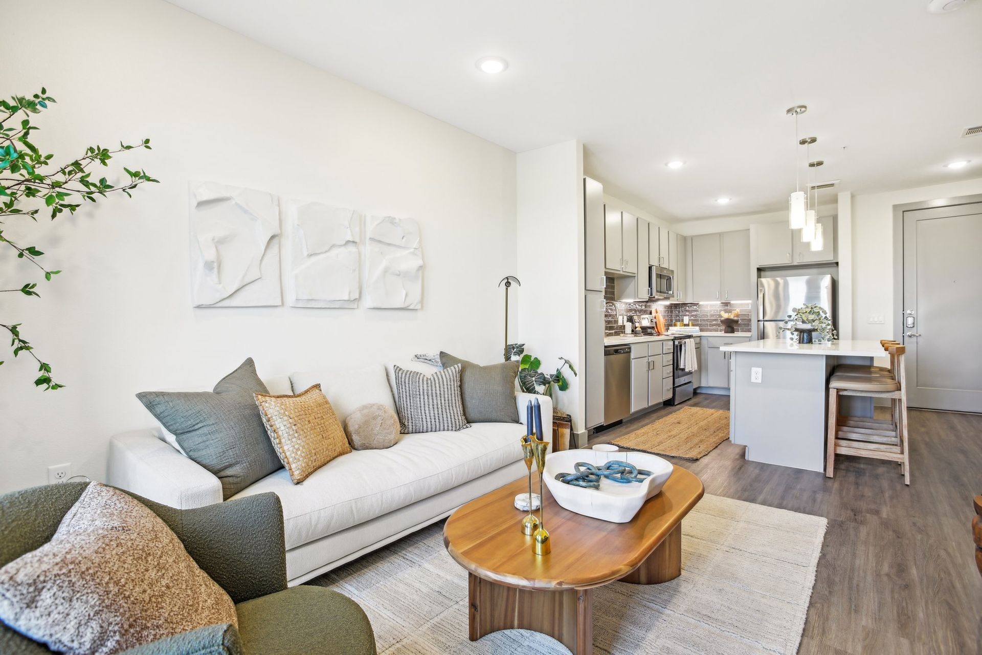 The Anderson Image 4