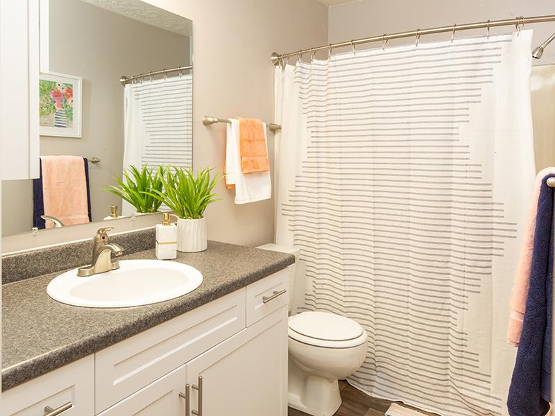 Candlestick Lane  Image 10