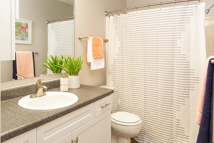 Candlestick Lane  Image 10