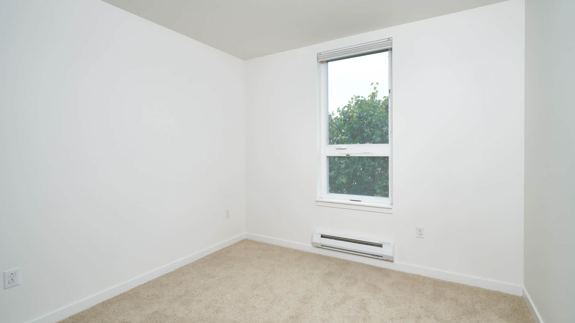 Springline  Image 25