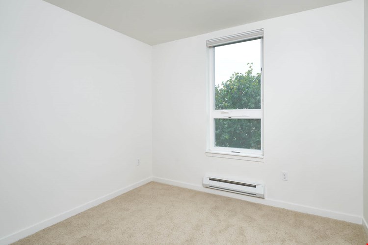 Springline  Image 25