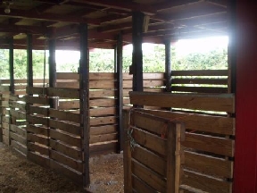 Lake Worth Ranch Image 7