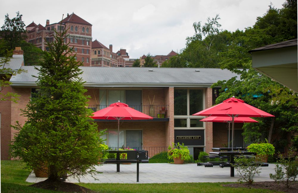 Grilling and Barbecue Area