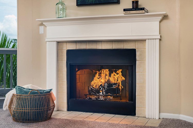 Some of our floor plans feature cozy fireplaces.