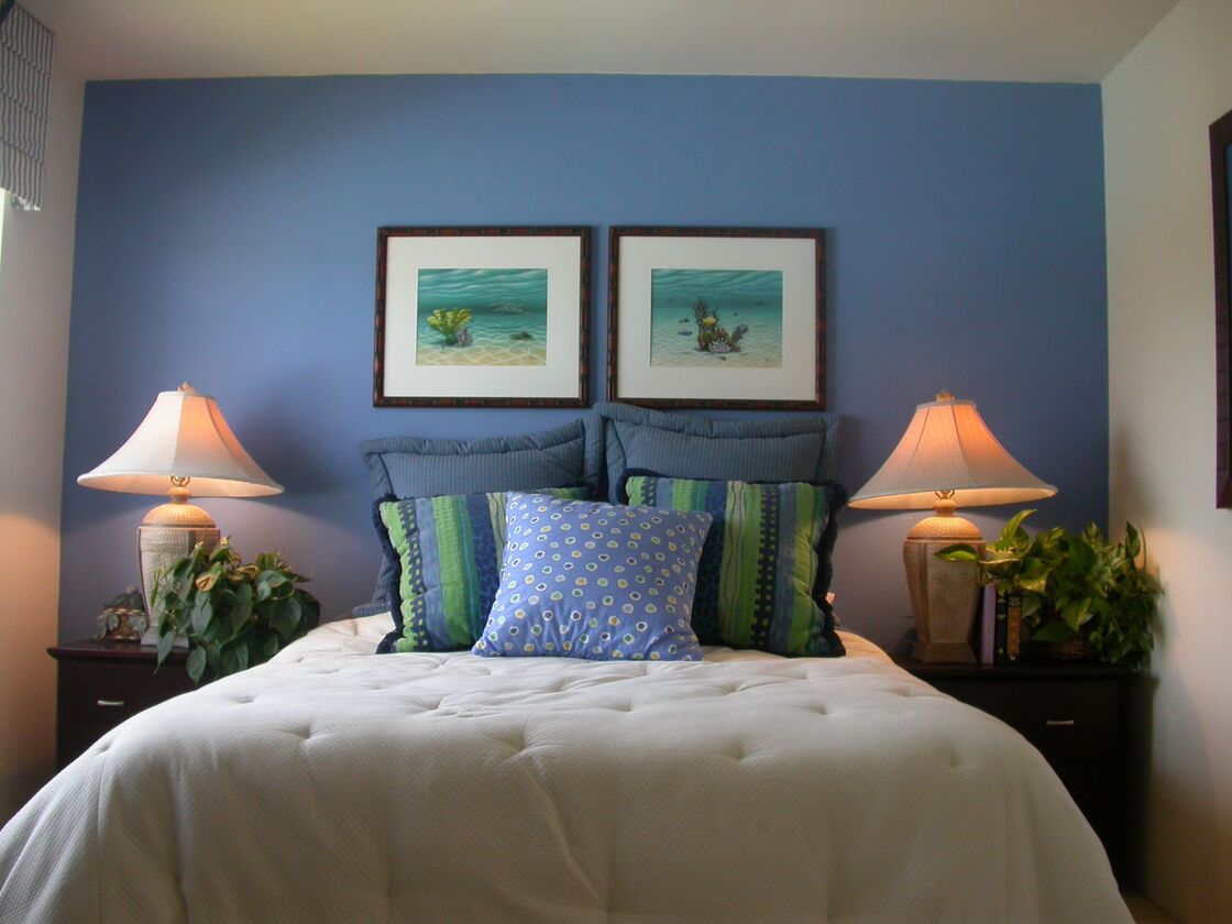 Beach Colony Image 6