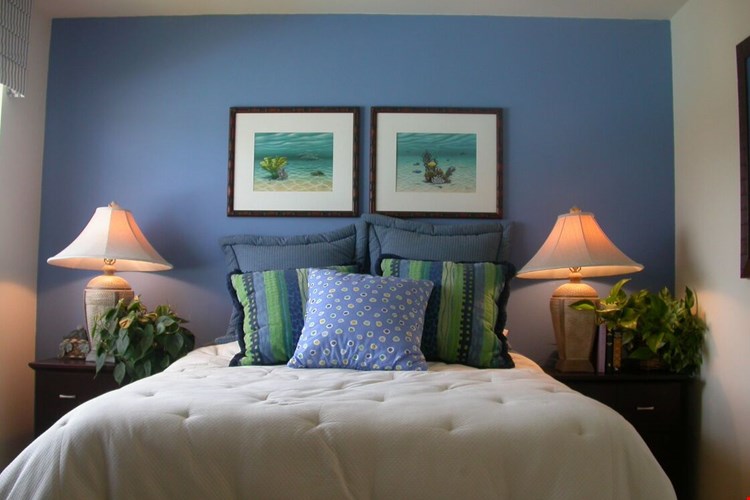 Beach Colony Image 6