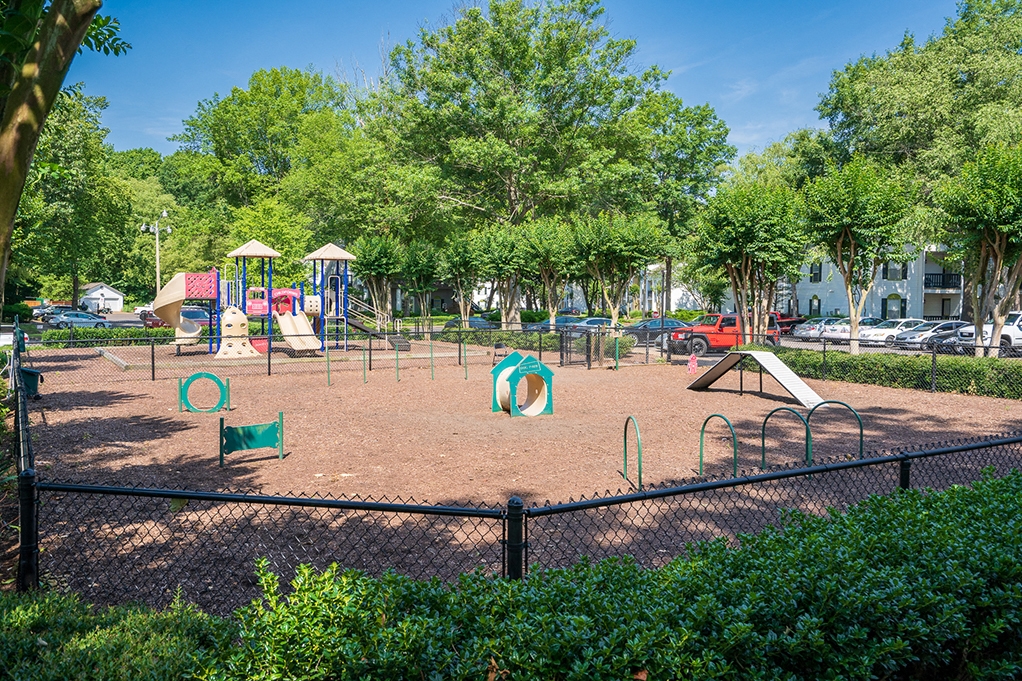 Savannah Creek Image 35