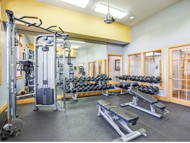 Williams Reserve Image 8