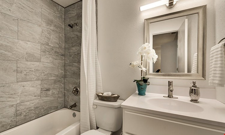 Shady Valley Square Image 6