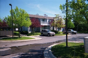 Sparrow Wood Image 3