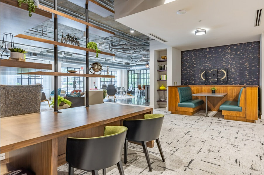 Ayla on Krog Image 9