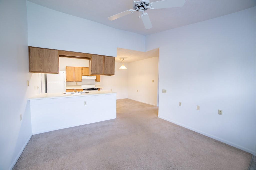 Living Area with Carpet