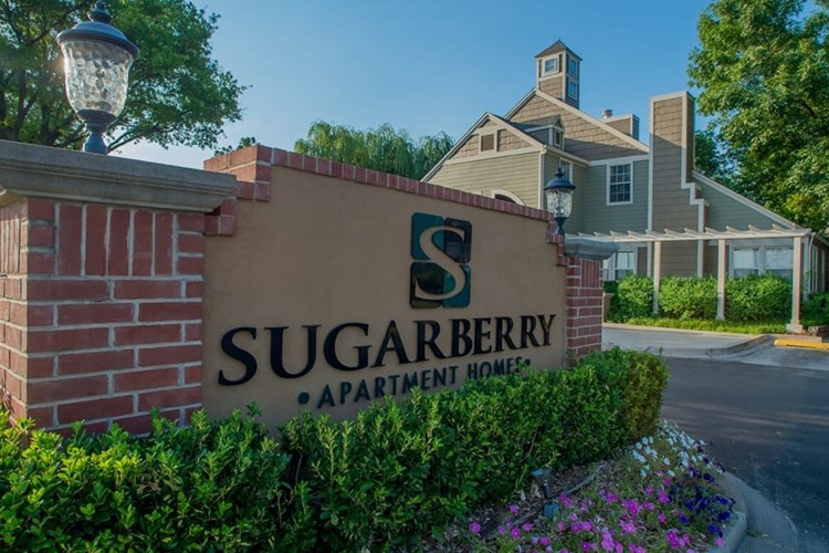 Sugarberry Image 1