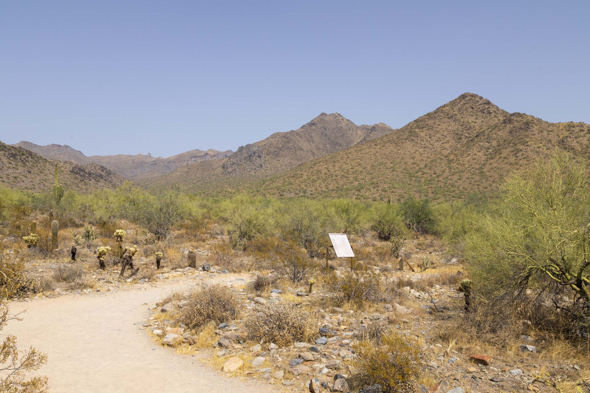 Camden Montierra Image 39