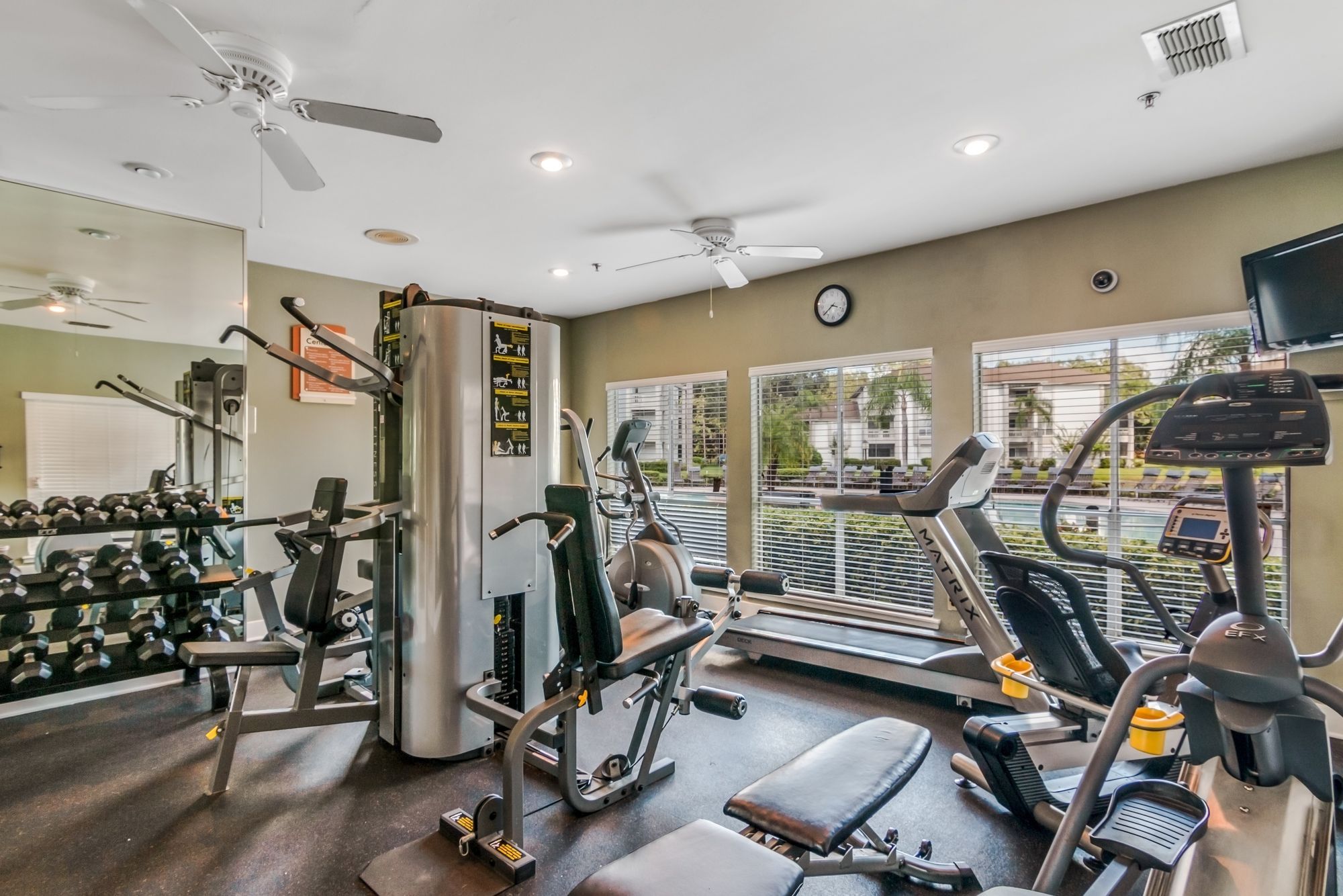 Arium Citrus Run Image 18