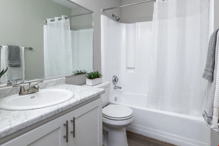 Lavish bathrooms renovated to perfection, featuring new countertops and cabinetry.