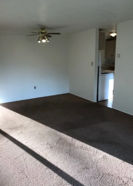 Tropical Village Image 3