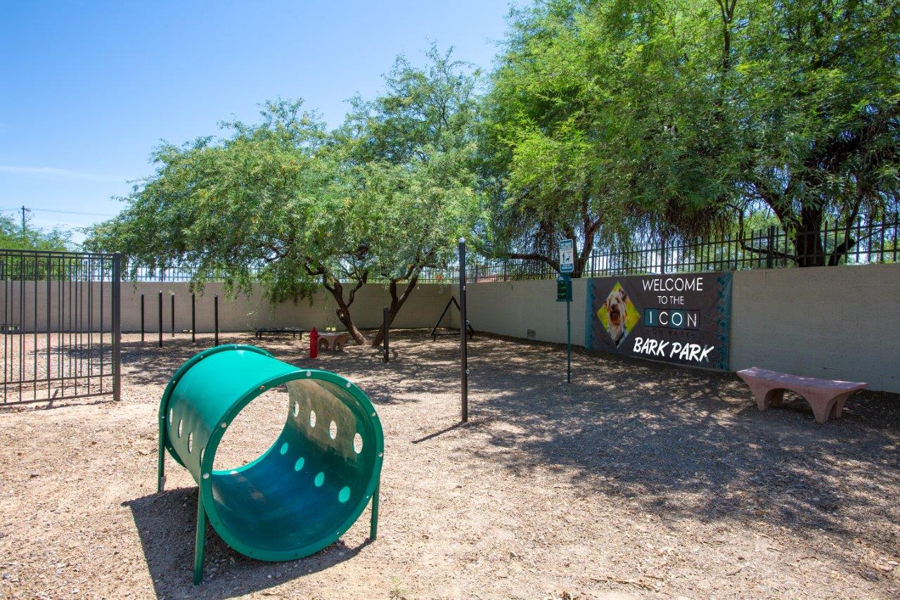 Icon on Park Image 37