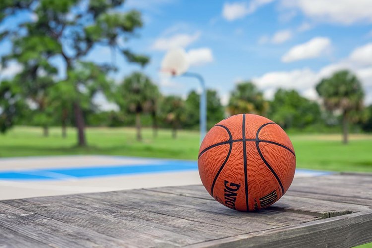 Come shoot some hoops on our court. All you need is a ball. 