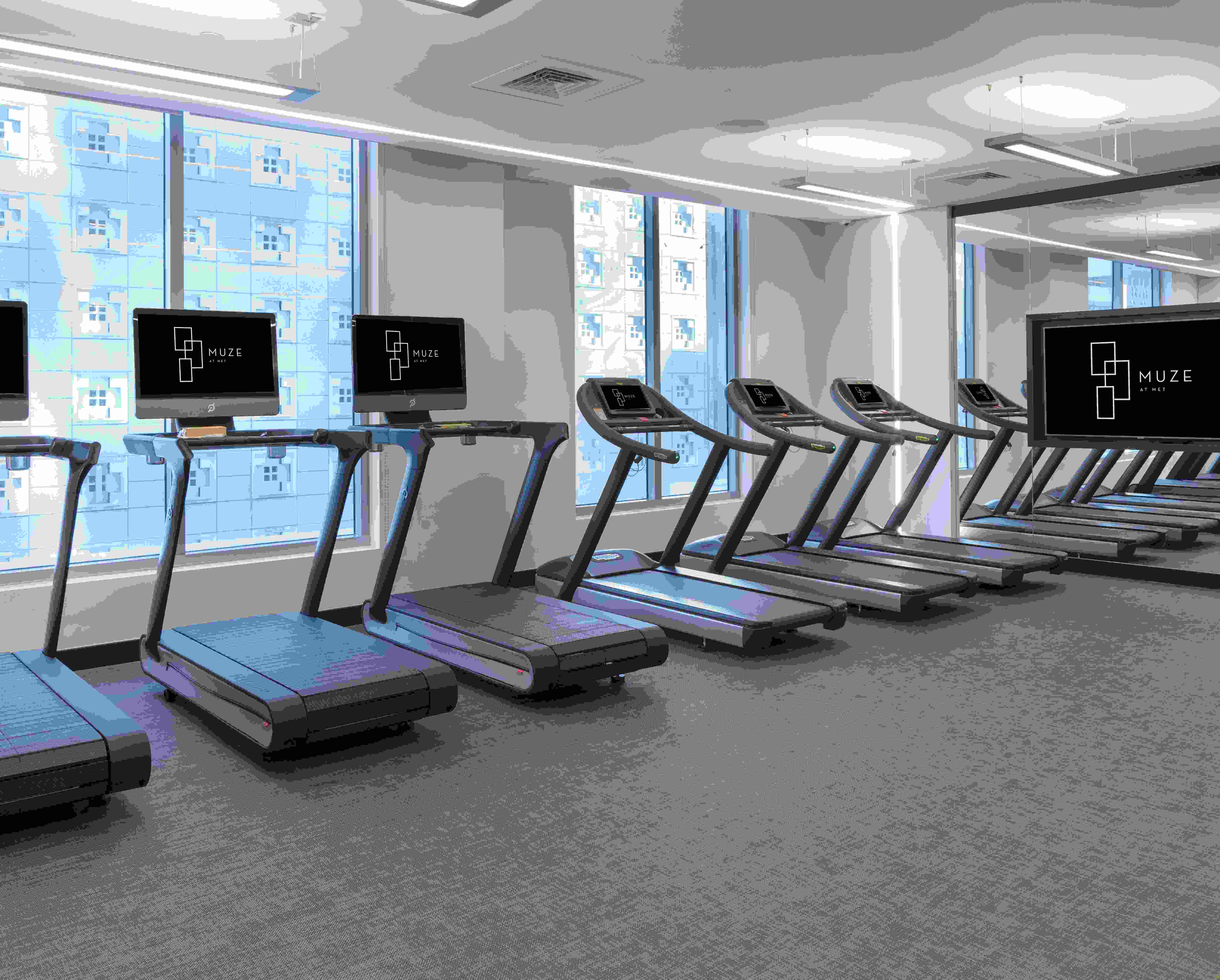 Muze at Met Image 19