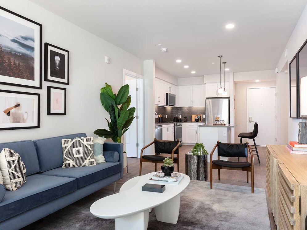 Upgrade Collection living and dining areas with hard surface flooring