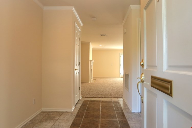 The Chesterfield Image 27