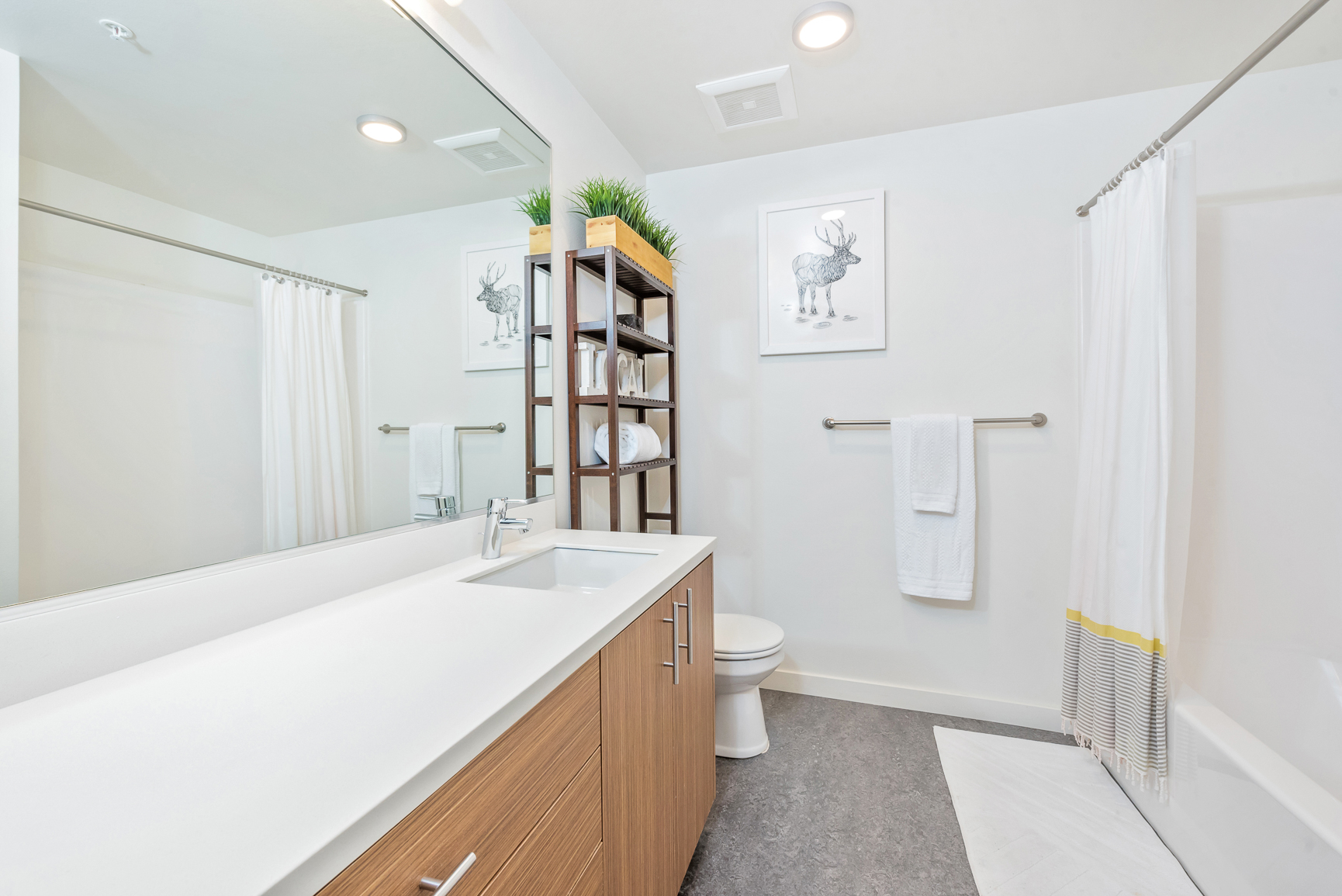 Rooster Apartments Image 17