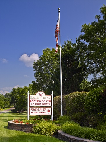 Eagle Stream Image 5