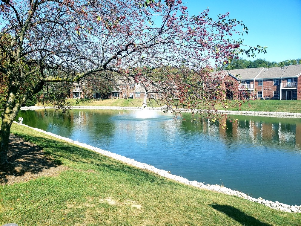 Lakeview Court Image 1