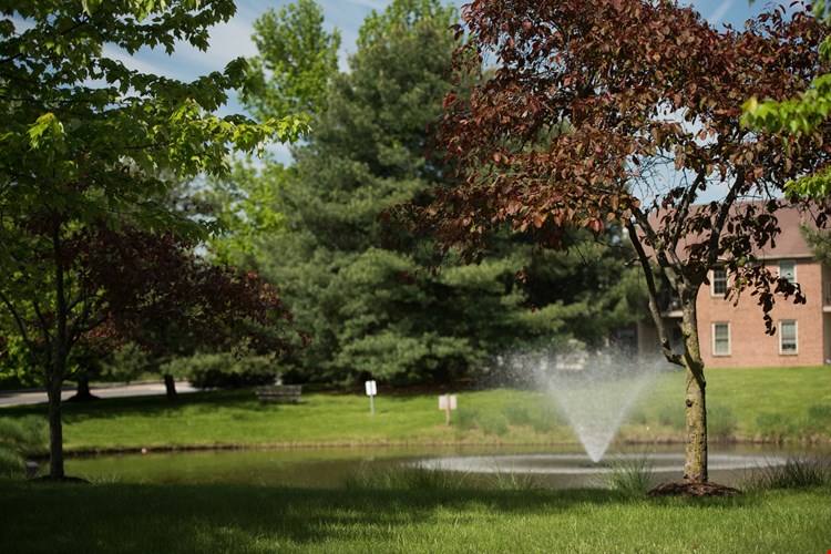 Abundant Green Space