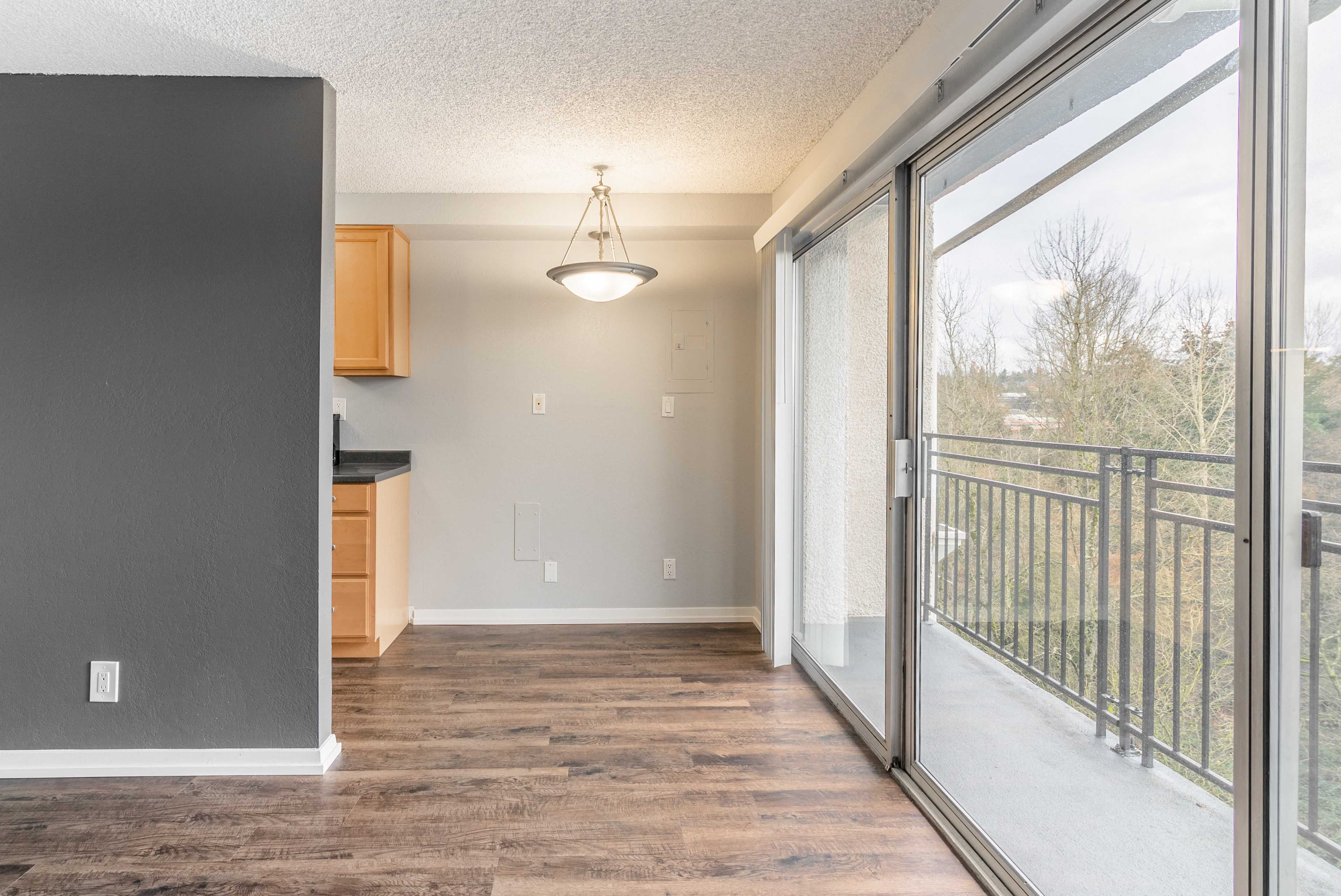Studio Living Room and Balcony