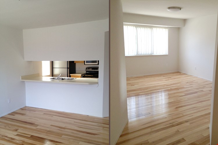 Amber Elm East Apartments Image 2