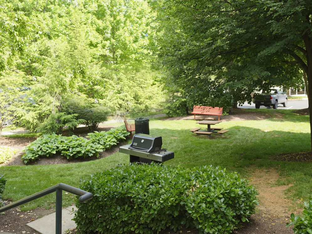 Landscaped courtyard with barbecue grills and seating