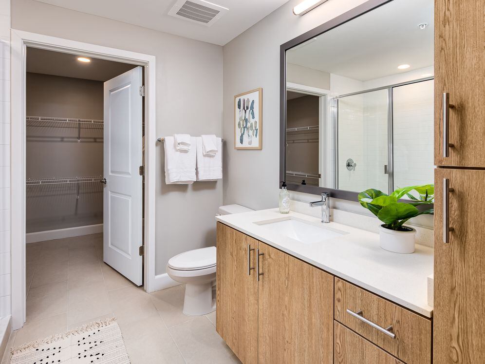 Bathroom with quartz countertop, storage and spacious, walk-in closet