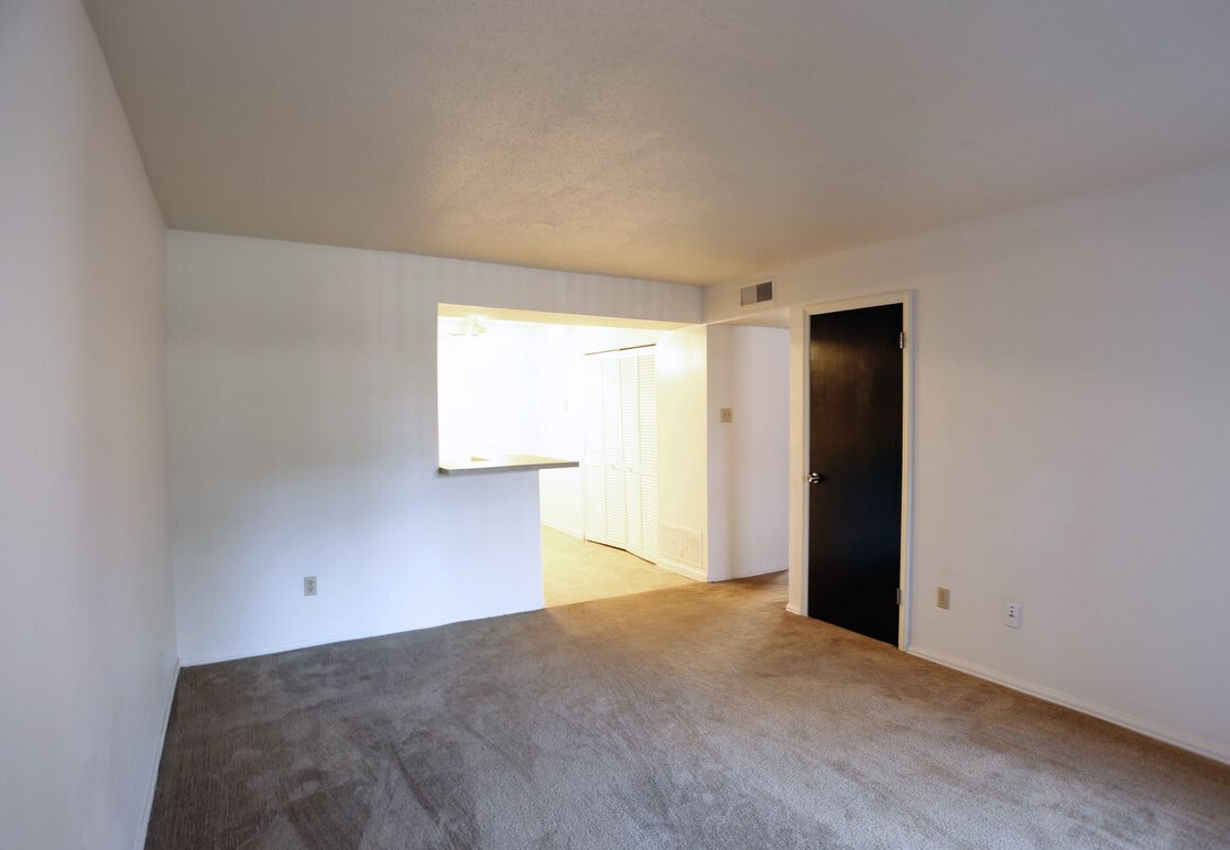 Hazelwood Forest Image 8