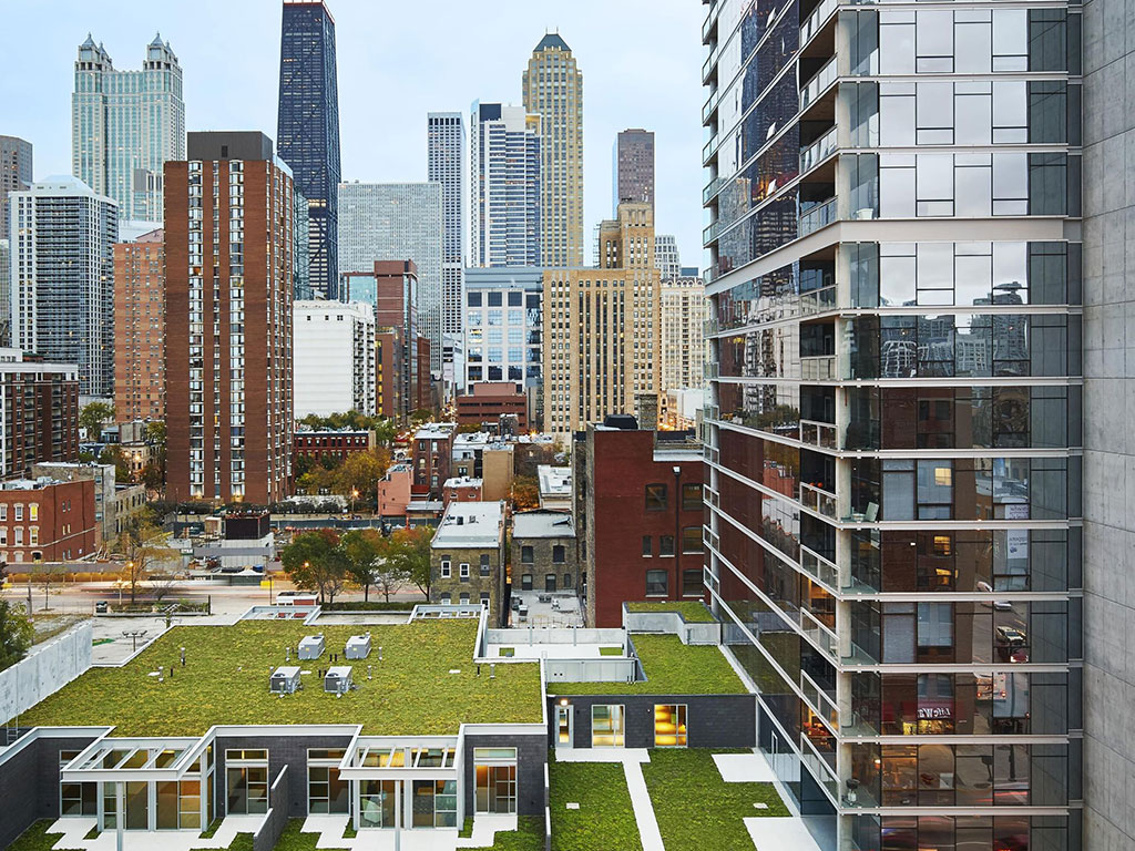 Eight O Five Image 5