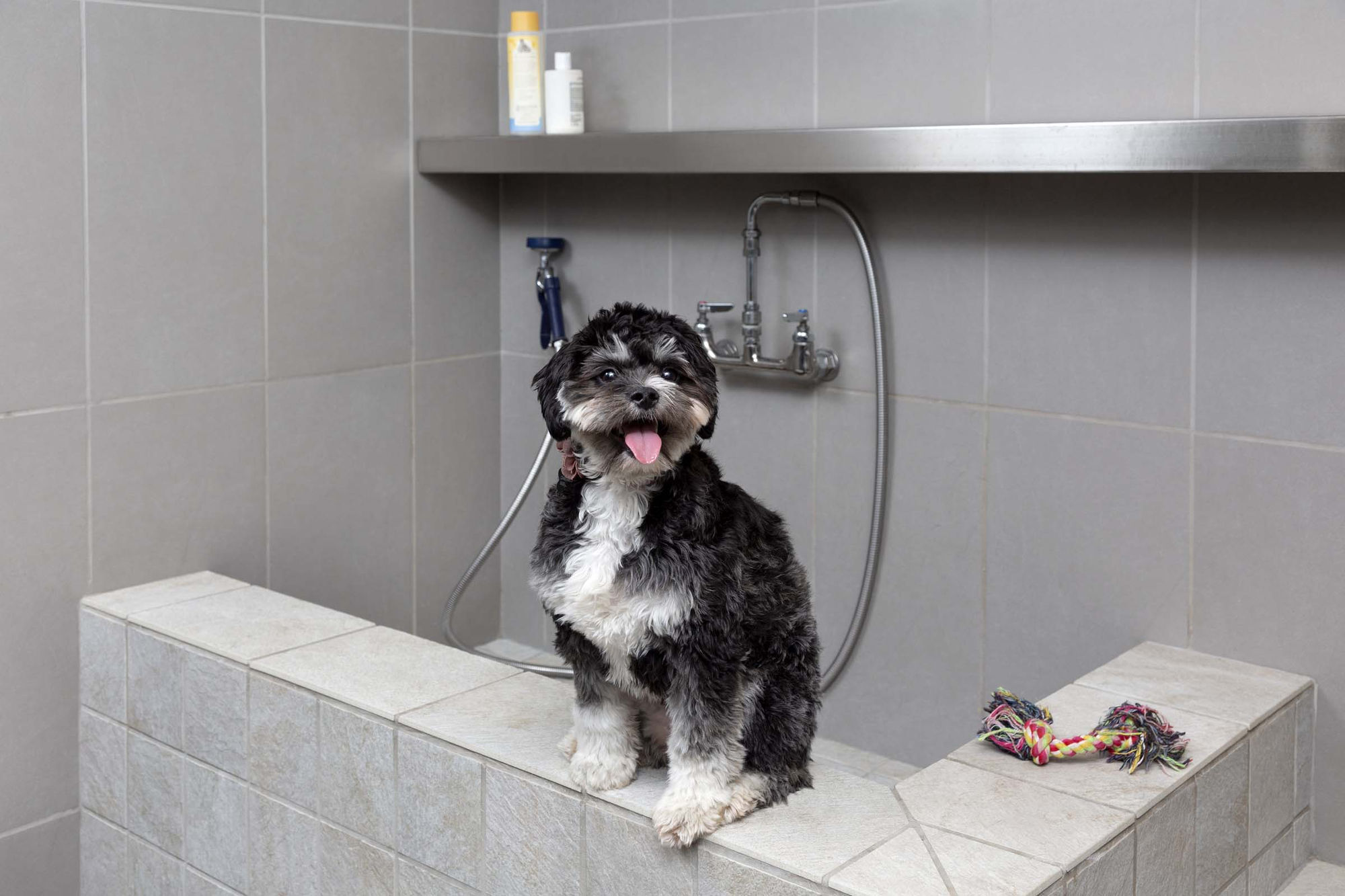 Camden Music Row Image 45