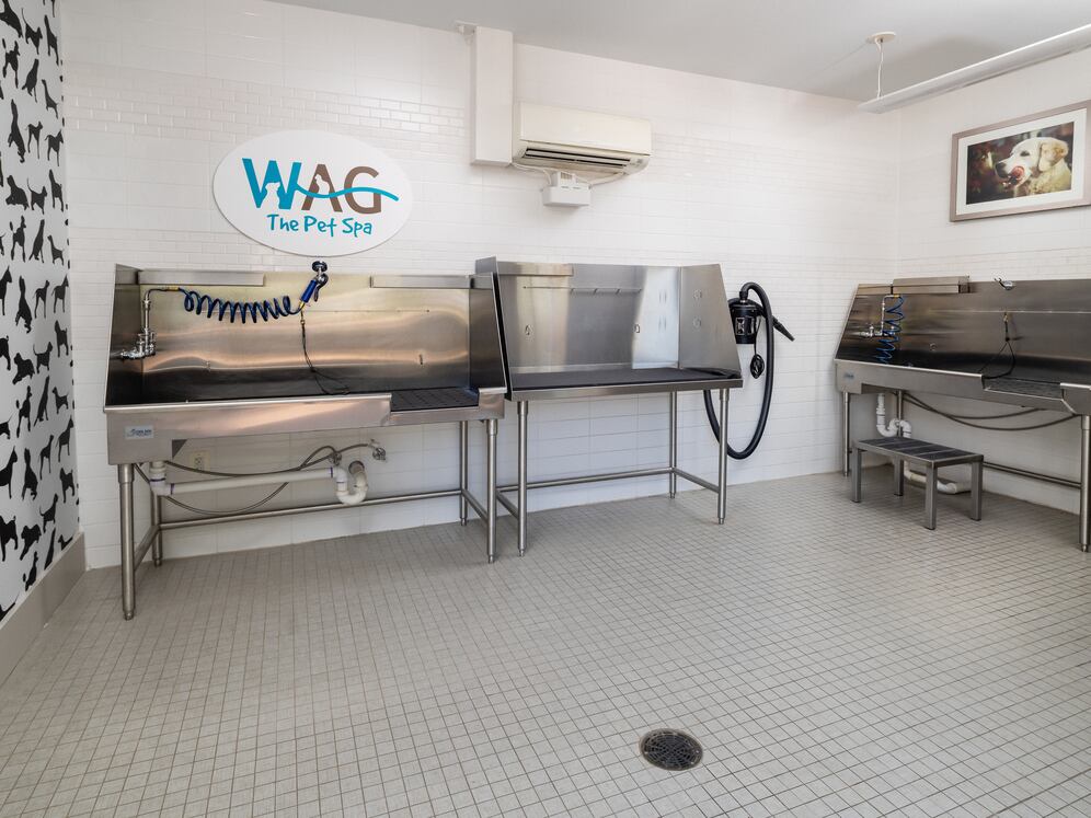 WAG pet spa