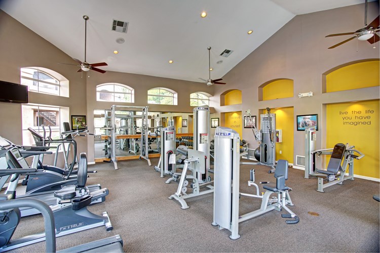 The fitness center offers a variety of different equipment