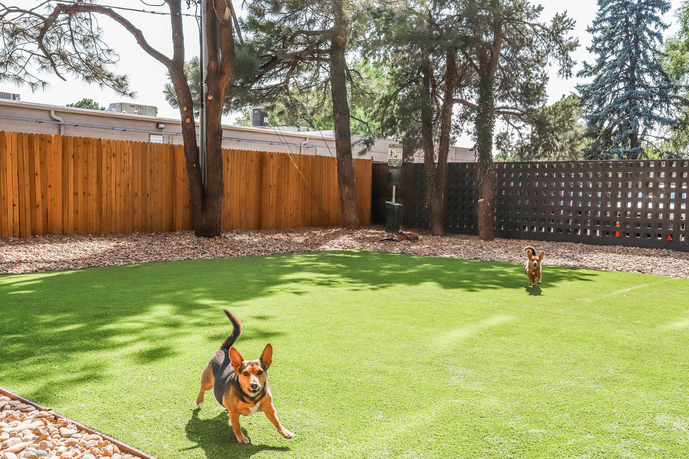 The Wellshire Image 9