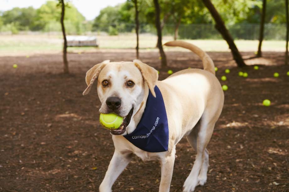 Camden Cedar Hills Image 33