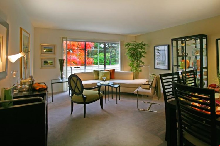 Aldingbrooke Image 17