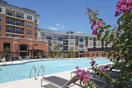 Expansive Resort-Style Pool