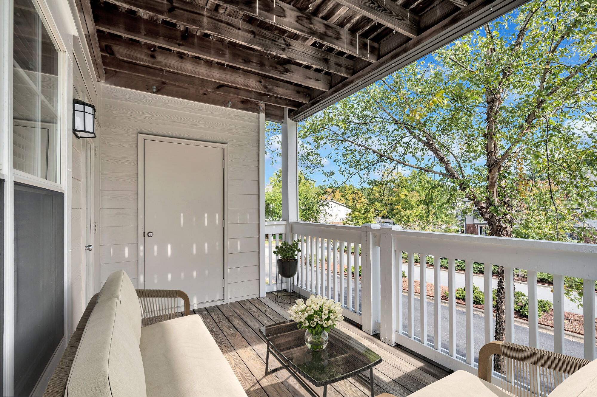 Camden Lake Pine Image 20